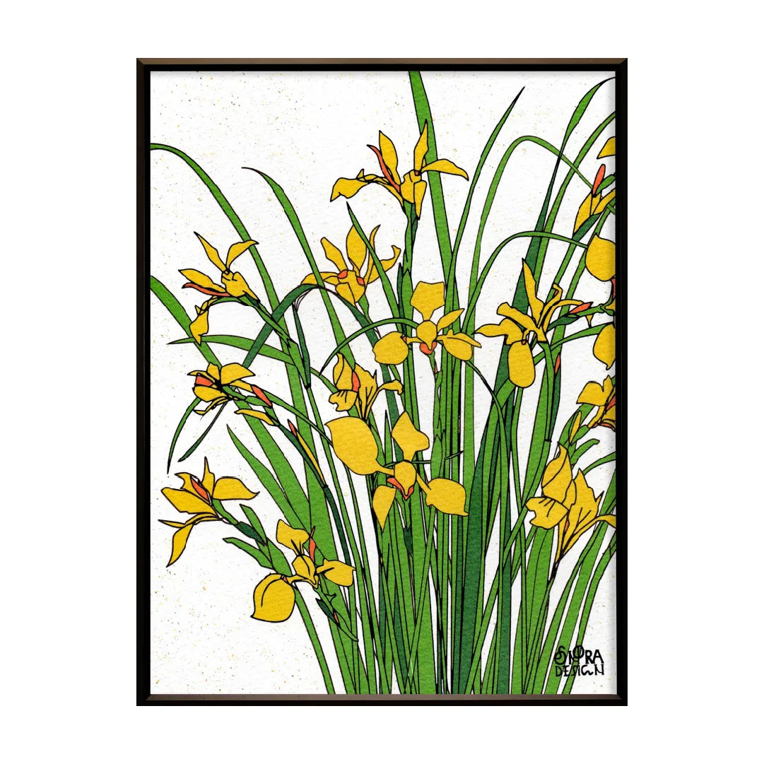 “Yellow_iris_No.252”
